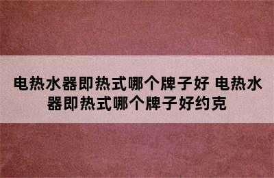 电热水器即热式哪个牌子好 电热水器即热式哪个牌子好约克